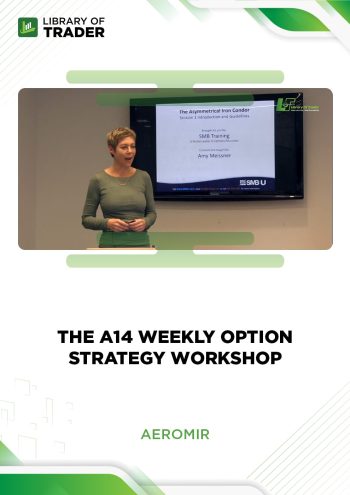 The A14 Weekly Option Strategy Workshop