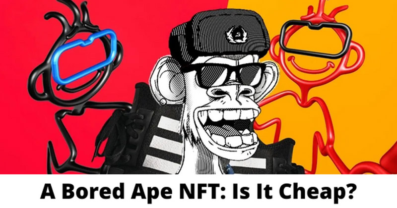 A Bored Ape NFT: Is It Cheap?