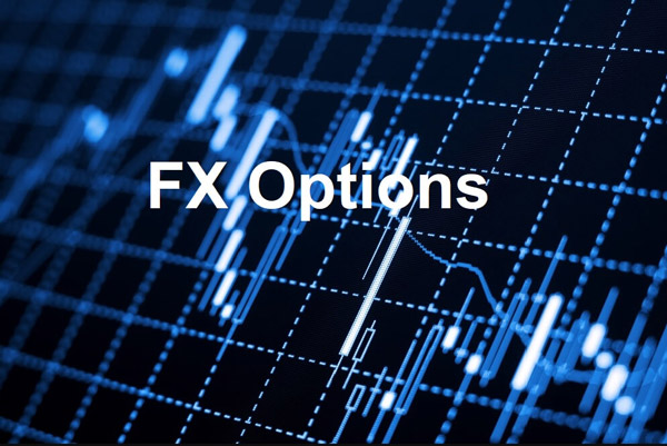 The difference between forex options trading and other options trading