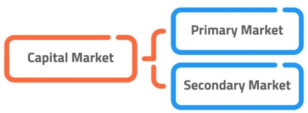 Types of Financial Markets: Capital Market.