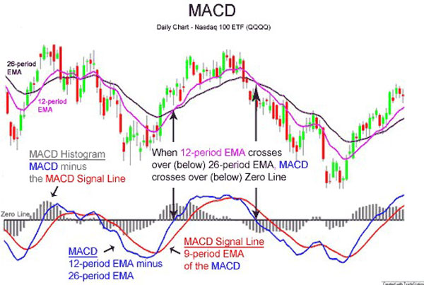 Swing Trading Strategies For Beginners