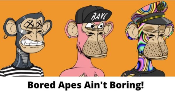 Bored Ape Yacht Club: An NFT Choice for Celebrities 